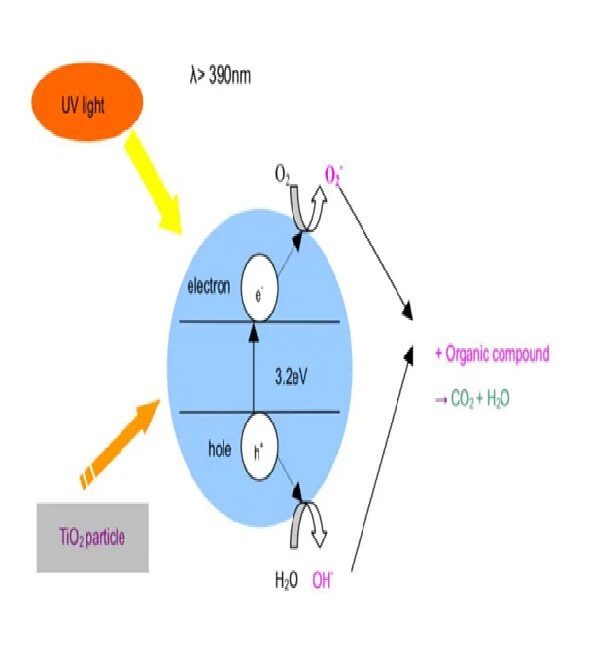 How Our Antimicrobial Additives Work: Illustration of Nano-Silver Particles attacking a bacterial cell wall to disrupt metabolism and prevent growth.