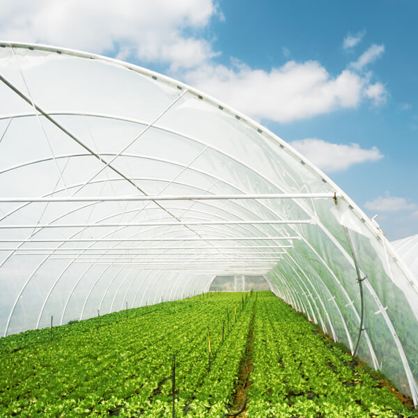 advanced UV stabilizer additives and masterbatches that improve weatherability and extend product life.